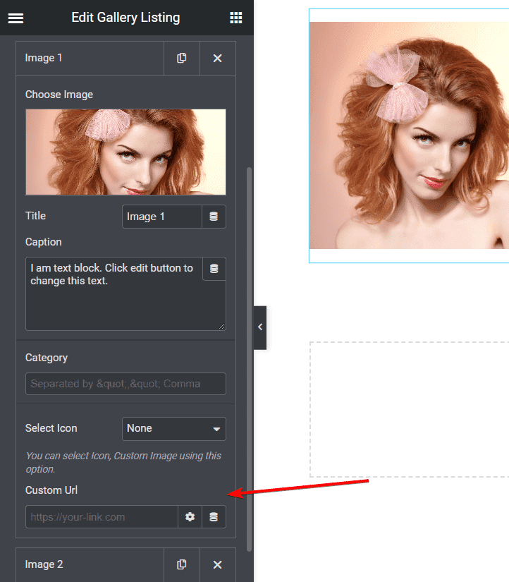 Adding Link to Elementor Gallery Images Unique